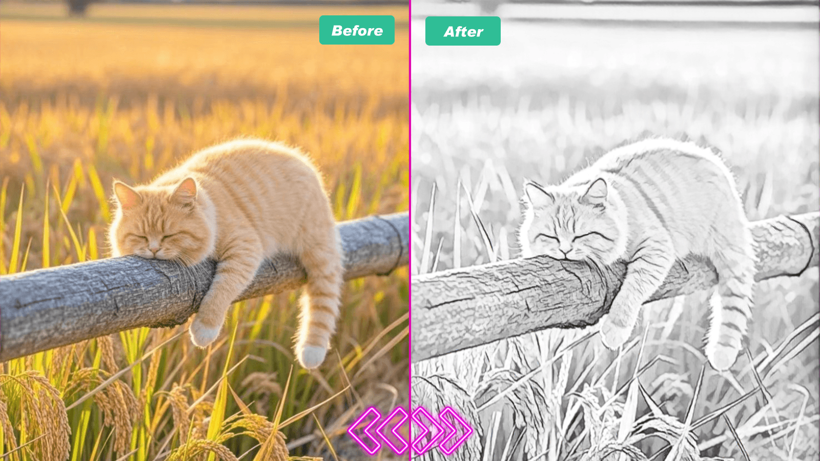 Photo to sketch AI example portrait one