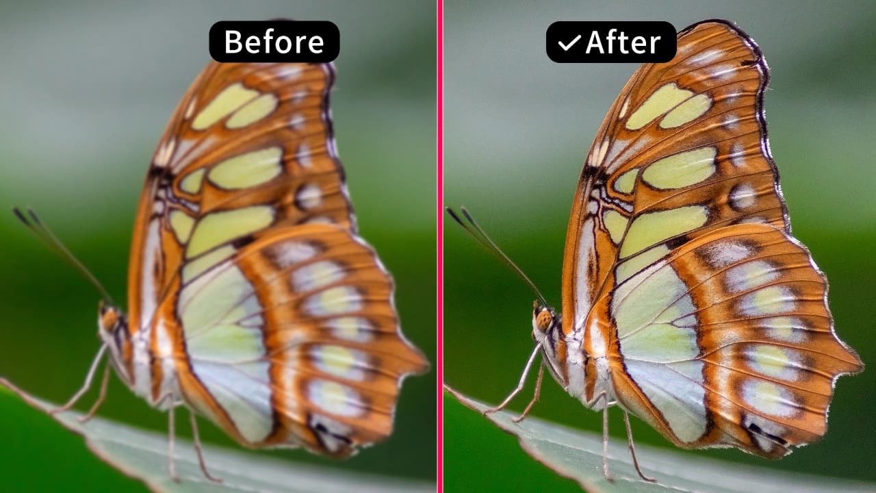Image Upscaler preview
